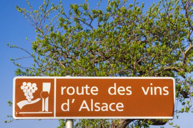 Colmar yakınlarındaki şarap yolu, Alsace, Fransa