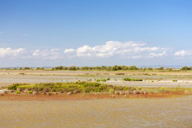 Ulusal Park Camargue, Provence, Fransa