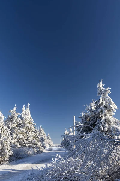 Paisaje Invernal Cerca Velka Destna Montañas Orlicke Bohemia Oriental República — Foto de Stock