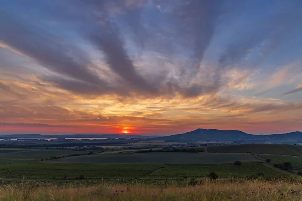 Восход Солнца Виноградниках Палавой Южная Моравия Чехия — стоковое фото