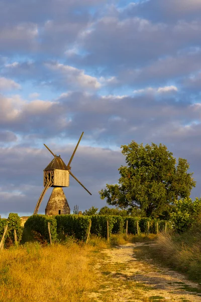 stock image Windmill of La Tranchee and vineyard near Montsoreau, Pays de la Loire, France