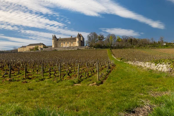 Chateau Rully Slott Departement Saone Loire Burgund Frankrike – stockfoto