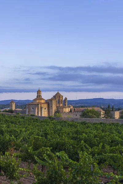 Royal Abbey Santa Maria Poblet Cistercian Monastery Catalonia Spain — стокове фото