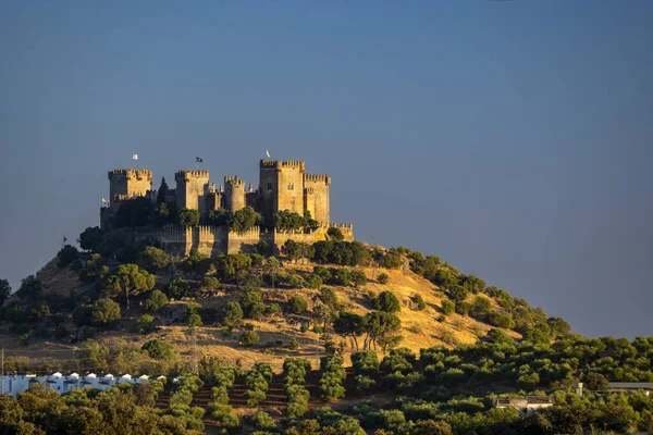 Castello Almodovar Del Rio Andalusia Spagna — Foto Stock
