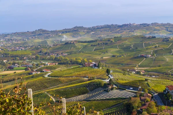 Őszi Szőlőültetvények Piedmont Olaszország — Stock Fotó