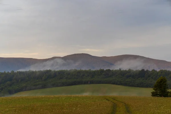 Morning Fog Vihorlat Slovakia — Stock Photo, Image