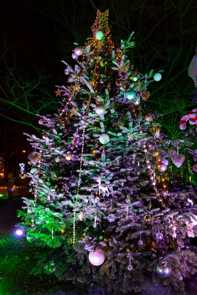 Karácsonyfa Bécsben Ausztriában — Stock Fotó