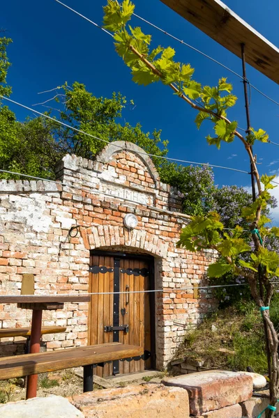 Wijnkelder Regio Palava Zuid Moravië Tsjechië — Stockfoto