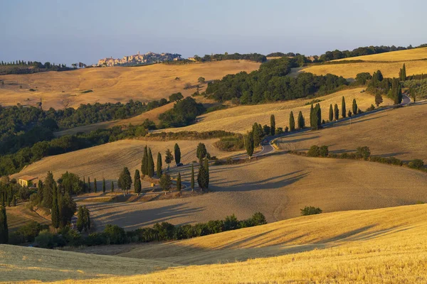 Cipressi Monticchielo Типовий Тосканський Пейзаж Поблизу Монтепульчано Італія — стокове фото