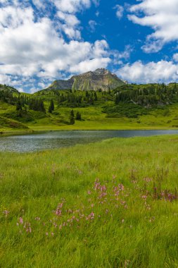 Kalbelesee yakınlarındaki manzara, Hochtann Dağı Geçidi, Warth, Vorarlberg, Avusturya