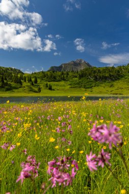 Kalbelesee yakınlarındaki manzara, Hochtann Dağı Geçidi, Warth, Vorarlberg, Avusturya