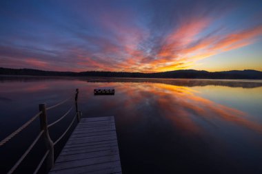 Doğa rezervi Olsina, Sumava Ulusal Parkı, Çek Cumhuriyeti