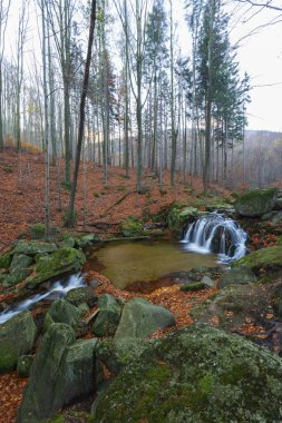 Maly Stolpich şelalesi, Jizerskohorske buciny, UNESCO sitesi, Kuzey Bohemya, Çek Cumhuriyeti