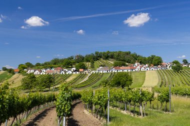Traditional wine cellars with vineyard in Galgenberg near Wildendurnbach, Lower Austria, Austria