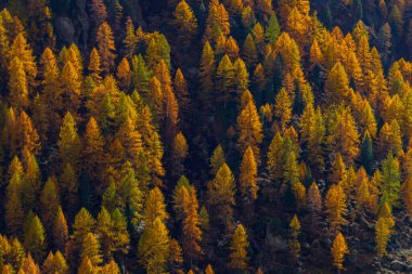 Texelgruppe doğa parkı (Parco Naturale Gruppo di Tessa) Timmelsjoch yakınlarında - yüksek Alp yolu, Güney Tyrol, İtalya