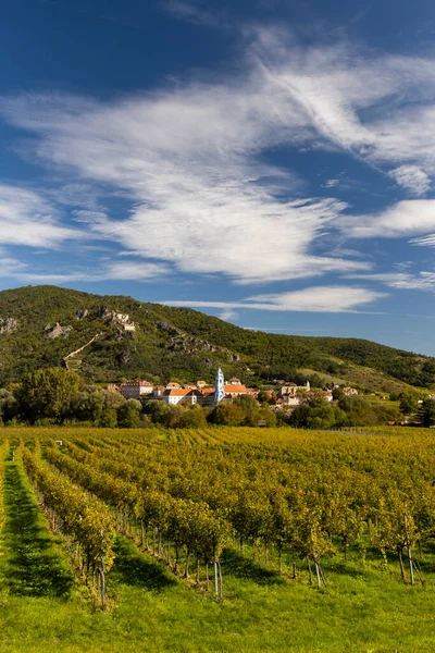 Wachau Vale Perto Durnstein Local Unesco Paisagem Com Vinhas Áustria — Fotografia de Stock