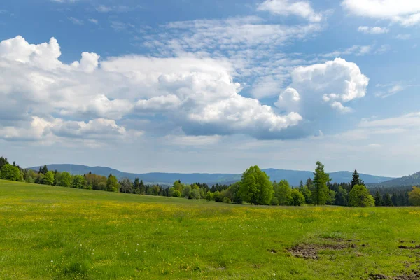 Typicalandscape Κοντά Στη Modrava Εθνικό Πάρκο Sumava Τσεχική Δημοκρατία — Φωτογραφία Αρχείου