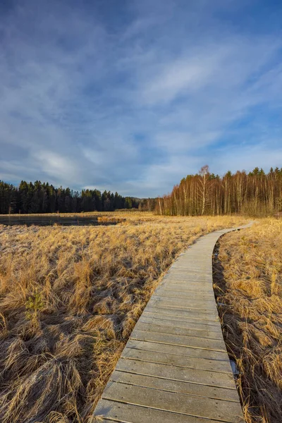 Nature Reserve Olsina Sumava National Park Czech Republic — Stock Photo, Image