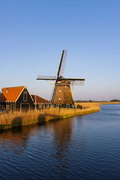 Otter Windmühle Bei Alkmaar Niederlande — Stockfoto