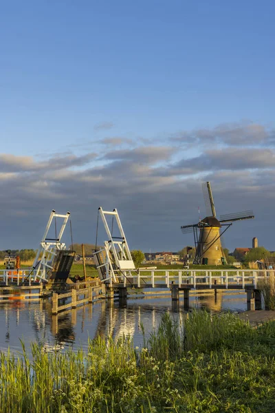 Traditional Dutch Windmills Kinderdijk Unesco Site Netherlands — Foto de Stock