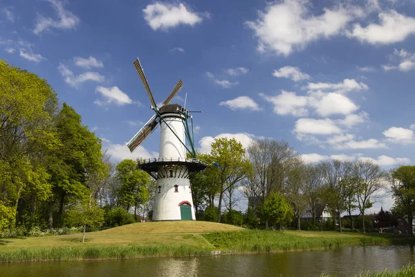 Windmill Hoop Tholen Netherlands — kuvapankkivalokuva