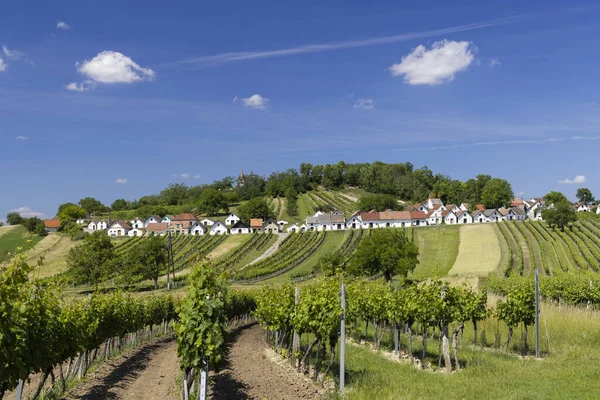Traditional Wine Cellars Vineyard Galgenberg Wildendurnbach Lower Austria Austria —  Fotos de Stock