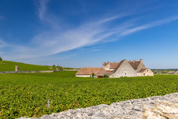 Typické Vinice Poblíž Clos Vougeot Cote Nuits Burgundy Francie — Stock fotografie