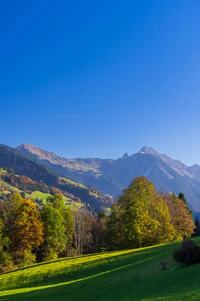 Typisk Landskap Nära Sankt Gerold Och Bludenz Bregenzer Wald Bregenz — Stockfoto