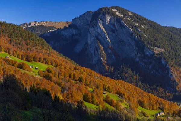 Typical Landscape Damls Bregenzer Wald Bregenz District Vorarlberg Austria — Stock Photo, Image