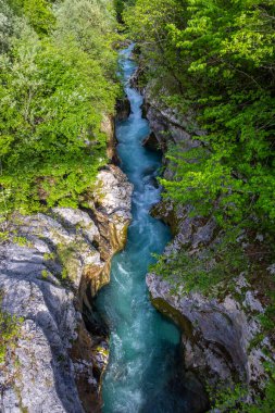 Great Soca Gorge (Velika korita Soce), Triglavski Ulusal Parkı, Slovenya
