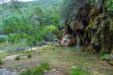 Cuenca, Castilla La Mancha, İspanya 'daki Cuervo Nehri (Nacimiento del Rio Cuervo) pınarı