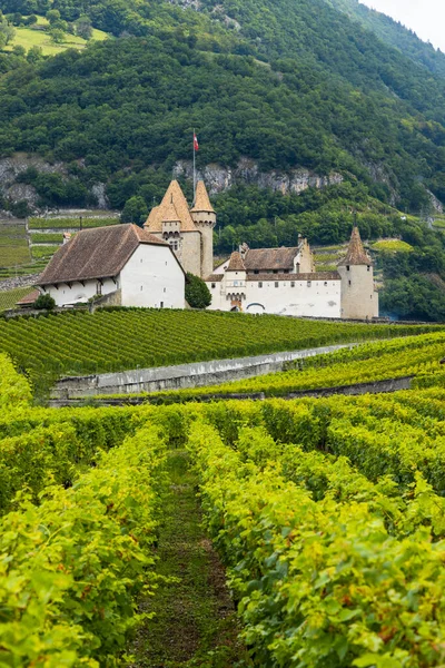 Castillo Chateau Aigle Cantón Vaud Suiza —  Fotos de Stock