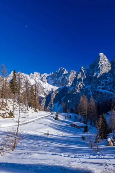 Winterlandschaft Bei Vrsic Triglavski Nationalpark Slowenien — Stockfoto