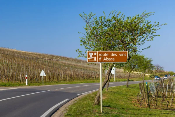 Colmar Yakınlarındaki Şarap Yolu Alsace Fransa — Stok fotoğraf