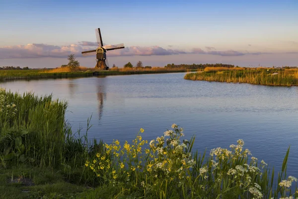 Windmill Broekmolen Molenlanden Nieuwpoort Netherlands — Stockfoto