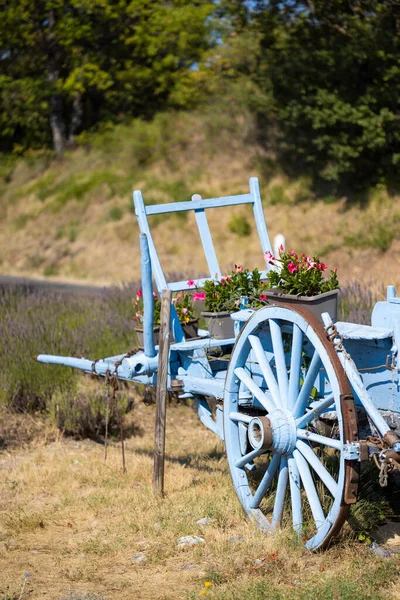 Blue Wooden Cart Lavenders — Stock Photo, Image