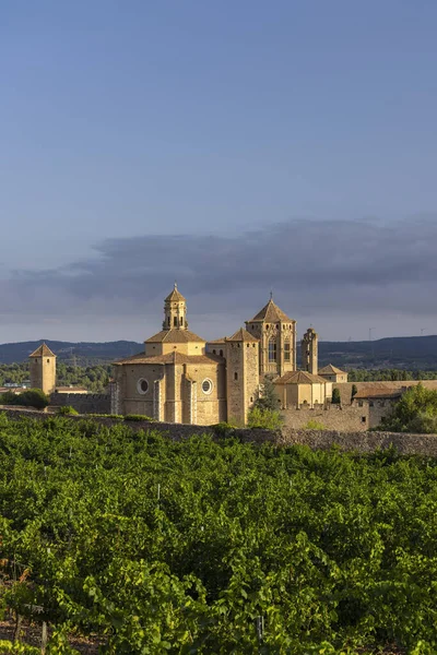 Abbaye Royale Santa Maria Poblet Monastère Cistercien Catalogne Espagne — Photo