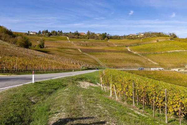 Podzimní Vinice Piemont Itálie — Stock fotografie