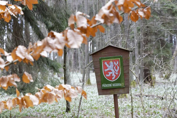 République Tchèque Conseil Administration Natur Reserve — Photo