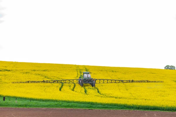 Campo Colza Primavera Con Tractor Fertilizante — Foto de Stock