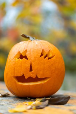 Cadılar bayramı balkabağı, sonbahar durgun hayat