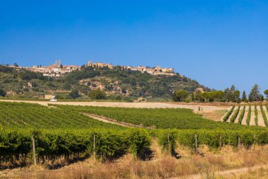 İtalya 'nın Montalcino kasabası yakınlarındaki Toskana' nın en ünlü üzüm bağları.