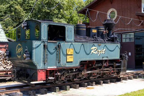 Narrow Gauge Railway Gemenc Dunapart Hungary — Stock Photo, Image