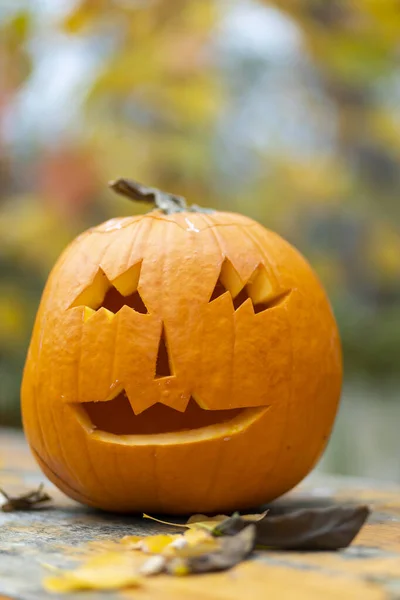 Abóbora Halloween Outono Ainda Vida — Fotografia de Stock