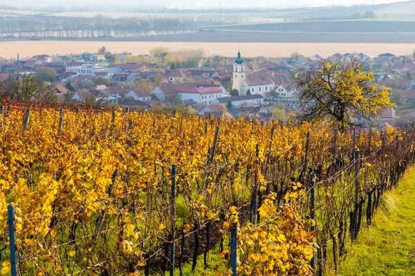 捷克共和国摩拉维亚南部Blatnice Pod Svatym Antoninkem的秋季葡萄园 — 图库照片