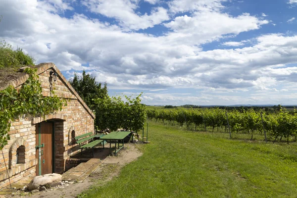 捷克共和国摩拉维亚南部巴拉维亚地区的酒窖和葡萄园 — 图库照片