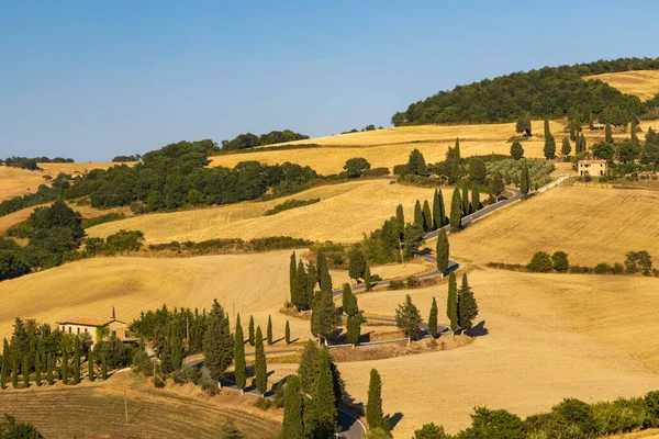 Cipressi Monticchielo Typical Tuscan Landscape Montepulciano Italiy — Stock Photo, Image