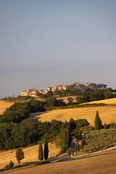 Cipressi Monticchielo Τυπικό Τοπίο Της Τοσκάνης Κοντά Στο Montepulciano Ιταλία — Φωτογραφία Αρχείου