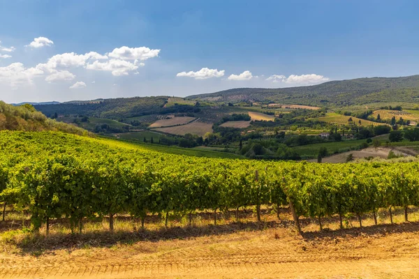 Vinodling Nära San Gimignano Toscana Italien — Stockfoto
