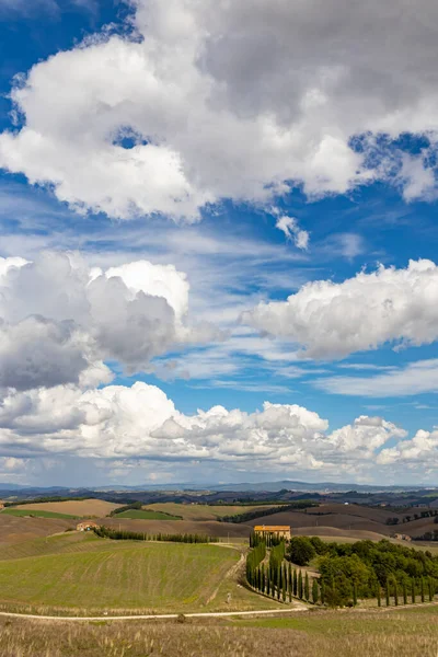 Paysage Toscan Typique Val Orcia Italie — Photo